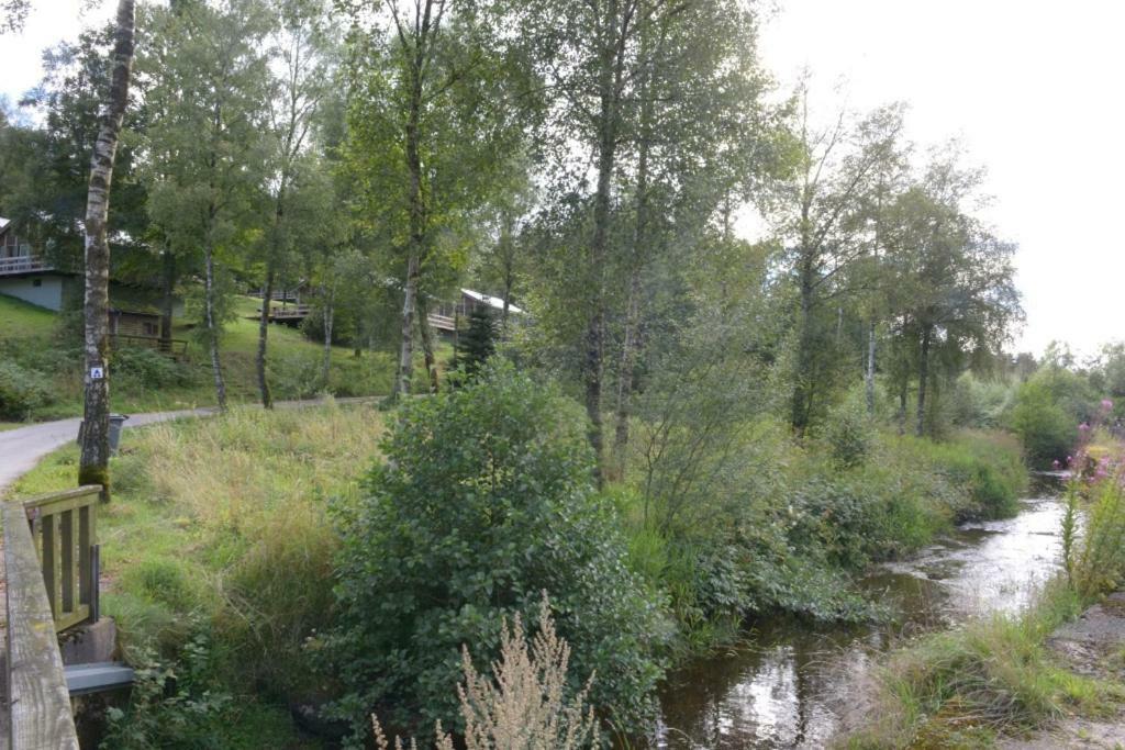 Chalet "A L Oree Du Bois" Büllingen Eksteriør billede