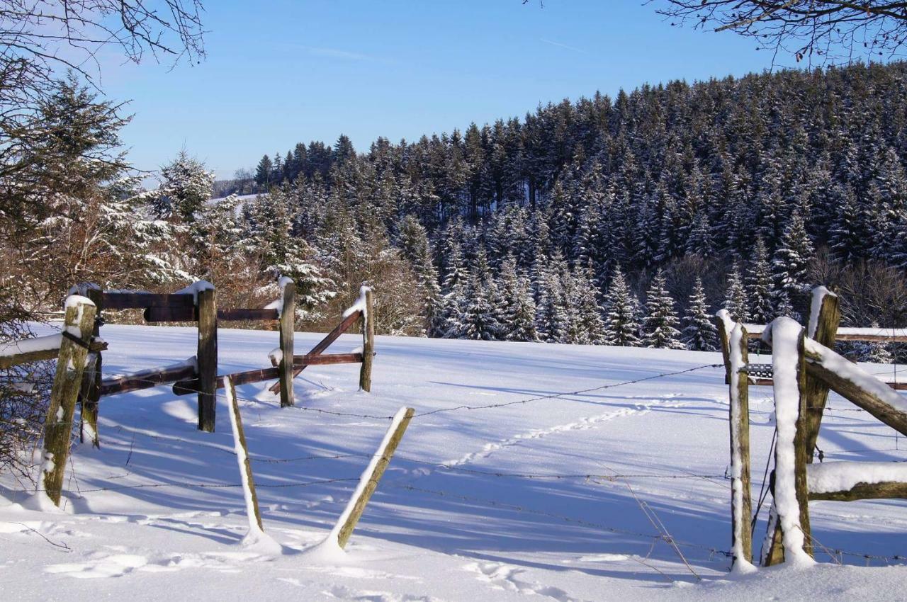 Chalet "A L Oree Du Bois" Büllingen Eksteriør billede